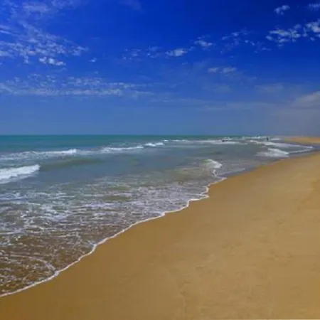 Mas Illa De Riu: Authentic Delta Del Ebro For 20 * Sant Jaume d'Enveja