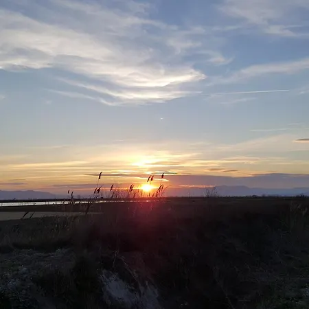 Mas Illa De Riu: Authentic Delta Del Ebro For 20 * Sant Jaume d'Enveja