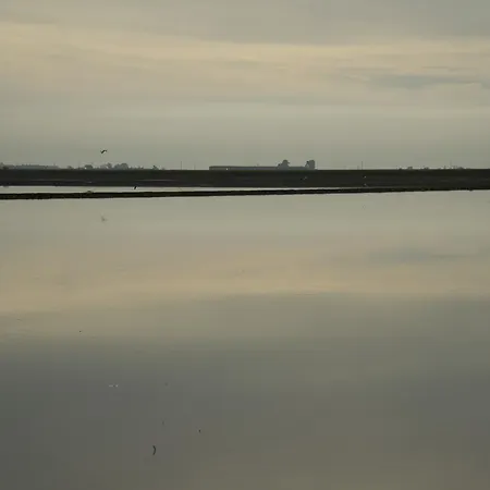Mas Illa De Riu: Authentic Delta Del Ebro For 20 Sant Jaume d'Enveja
